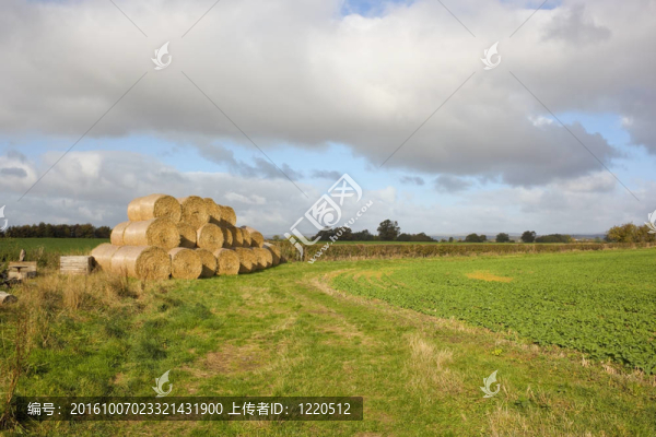 圓捆fieldscape