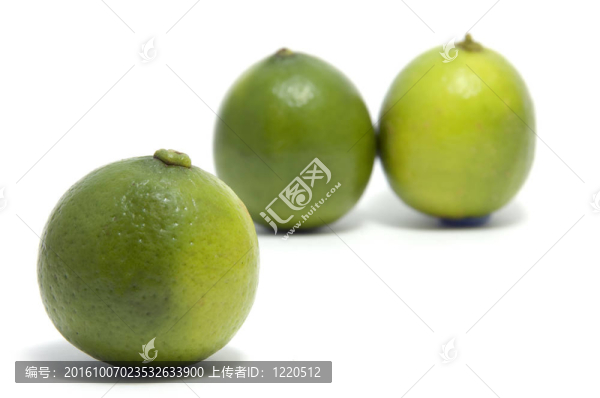 酸橙