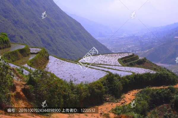 山和水稻田