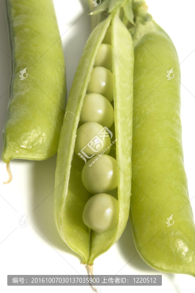 豌豆