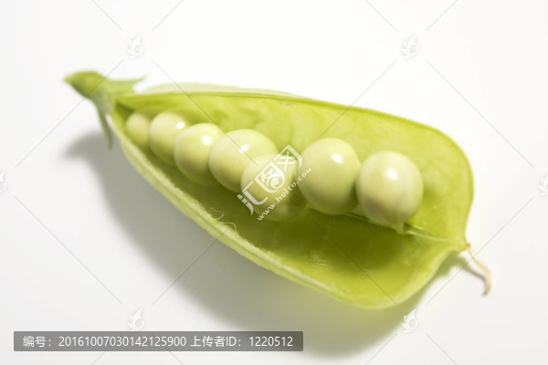 豌豆