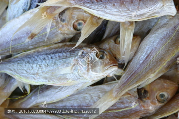 出售一堆干魚(yú)