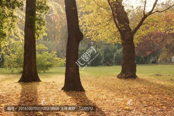 公園
