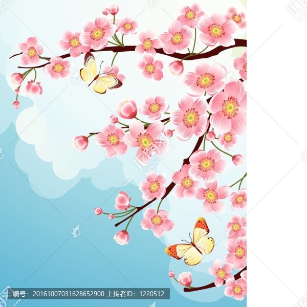 櫻花