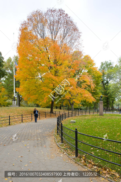 秋天的中央公園；紐約；美國(guó)