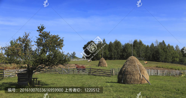 鄉(xiāng)村景觀