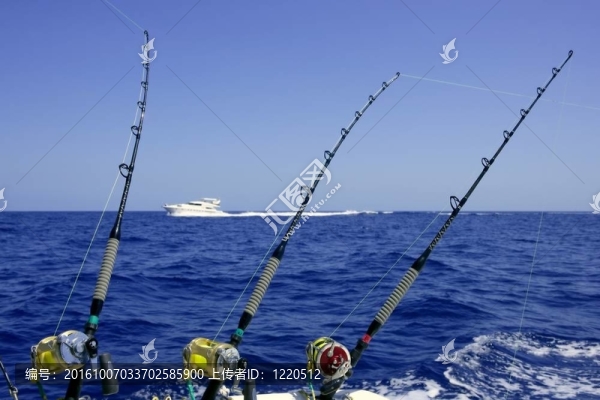 藍(lán)色海洋和天空在一個(gè)大游戲金槍魚捕魚日