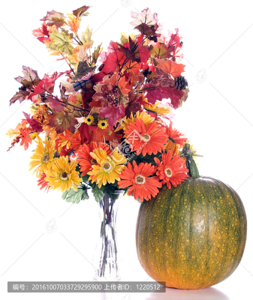 秋花