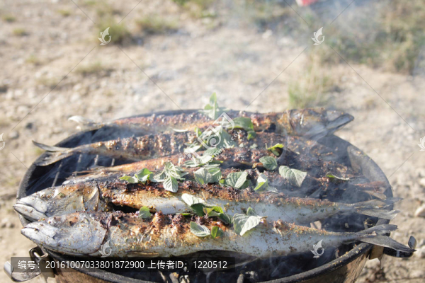 準(zhǔn)備烤的魚
