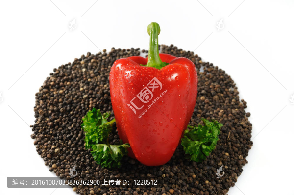 紅辣椒和黑胡椒和香菜白色隔離