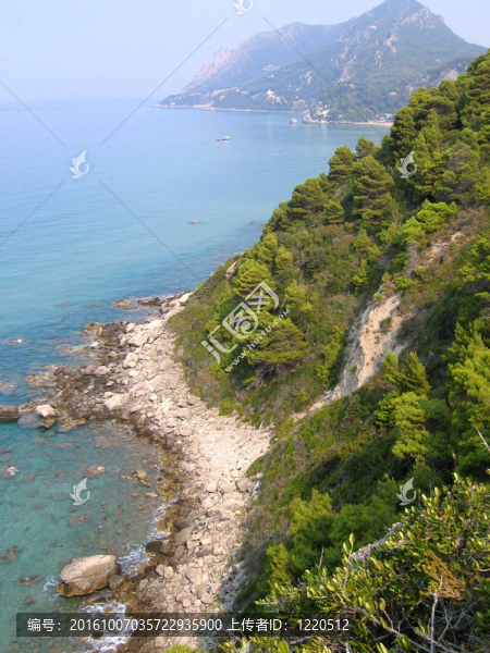 巖石和樹木繁茂的海岸