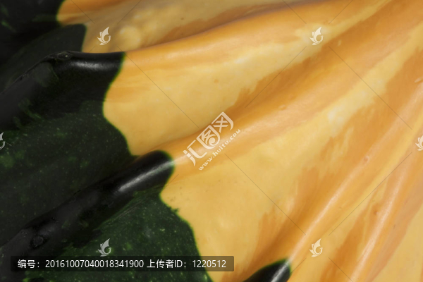Gourd摘要