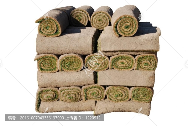 白底孤立SOD