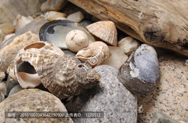 stilllife-26-0025