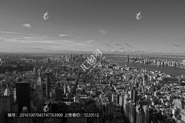 紐約市