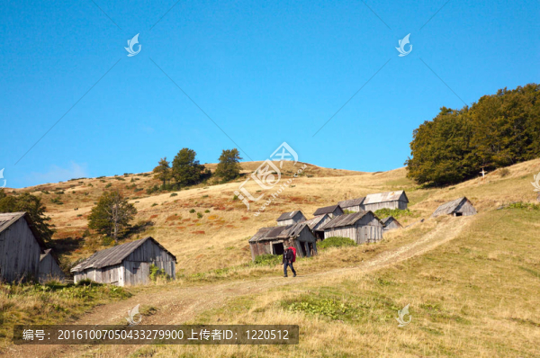 旅游與秋色
