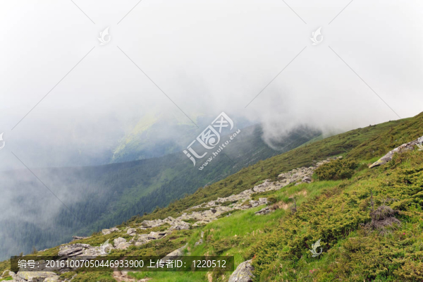 在夏天的山坡上的大石頭