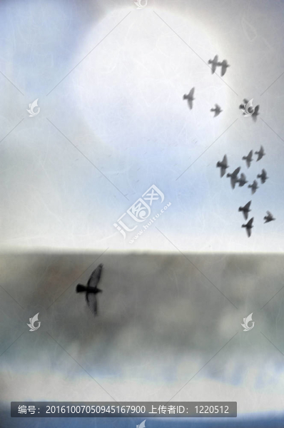 在抽象的海洋景觀中飛翔的鳥；海岸；和光。
