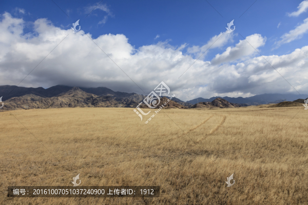 荒山