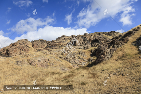 山