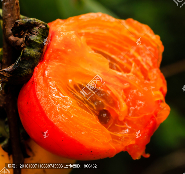 紅柿子,柿子,水果,果子,紅柿