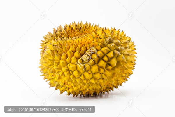 榴蓮