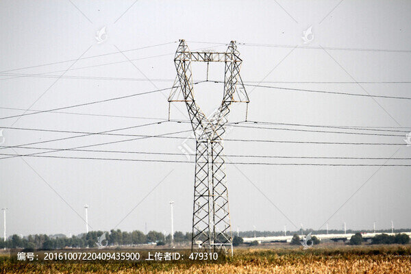 電塔,鐵塔,蘆葦,濕地,秋天