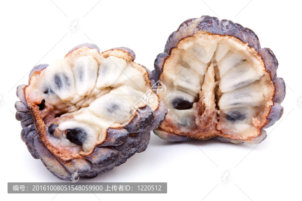 蛋奶凍蘋果