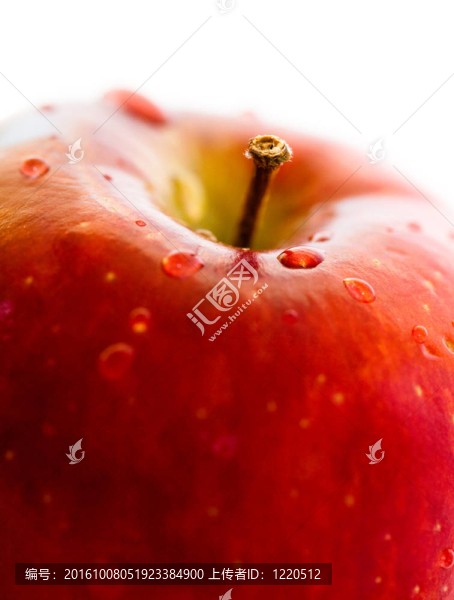 紅蘋果特寫