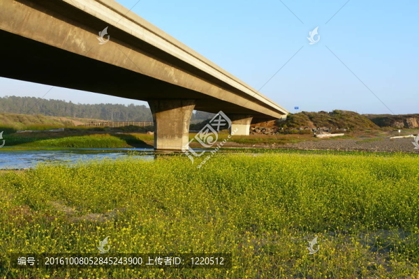 橋和花朵