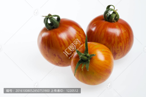 三紅斑馬番茄