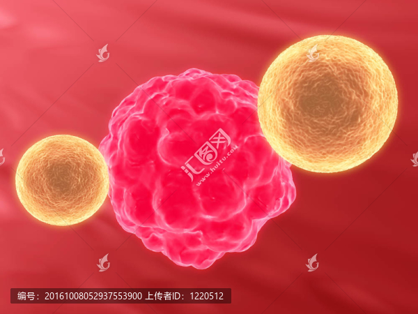 殺傷細(xì)胞攻擊癌細(xì)胞