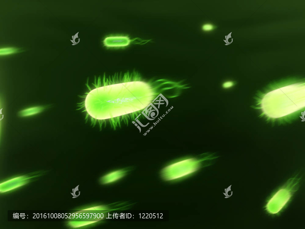 流的細(xì)菌