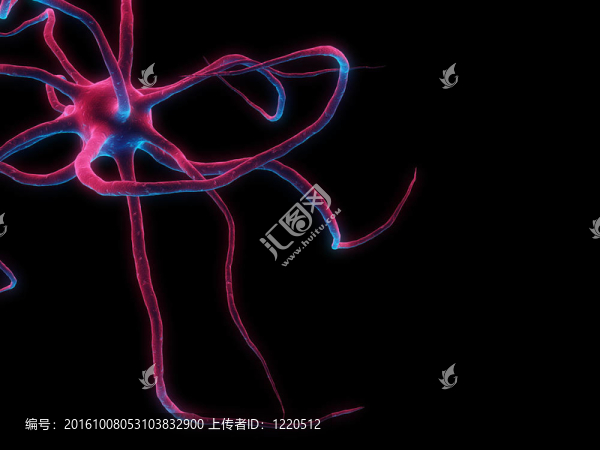 神經(jīng)細(xì)胞