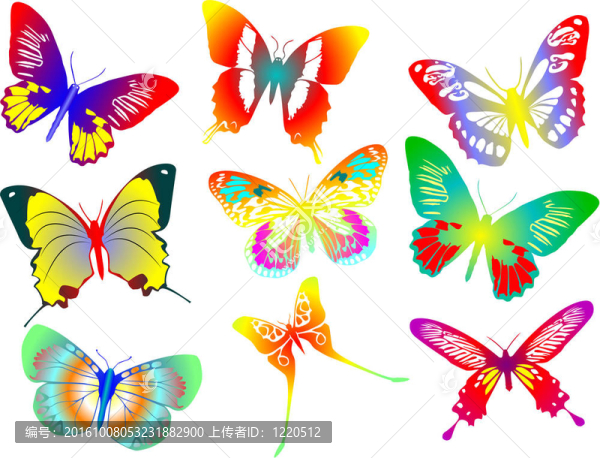 彩色蝴蝶收集。插画