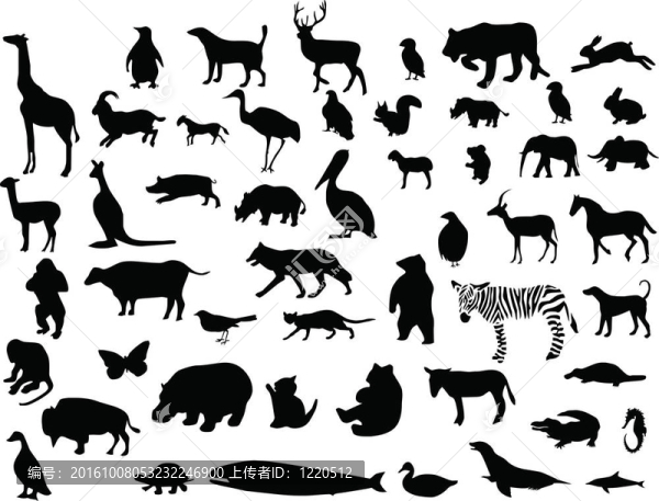 收集動(dòng)物
