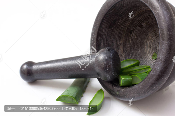 綠色蘆薈