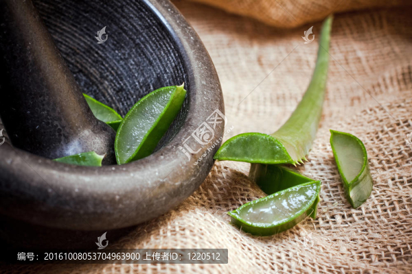 綠色蘆薈