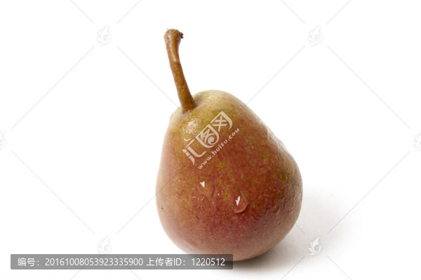 梨離體