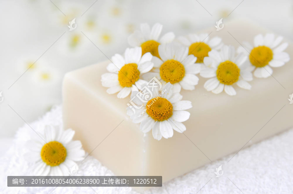 甘菊花香皂