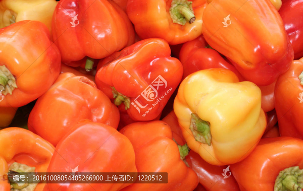 有機(jī)紅辣椒