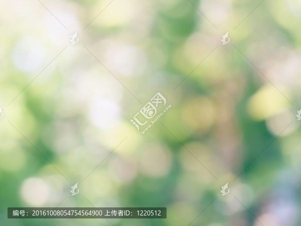 摘要綠色背景