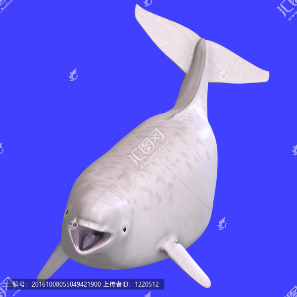 人們juvenilie白鯨