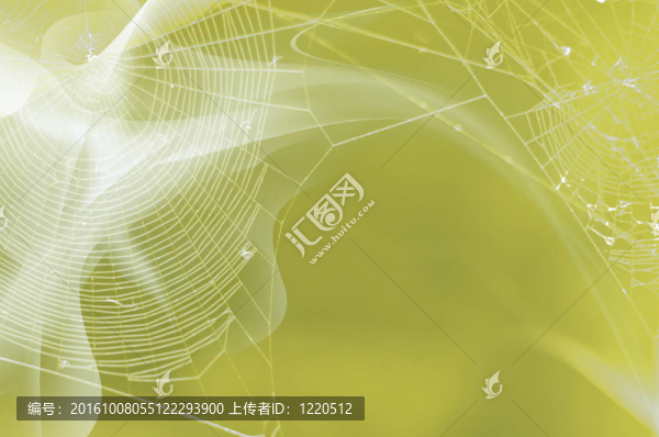 蜘蛛網(wǎng)