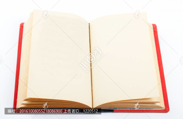 在兩個空頁上打開的舊書