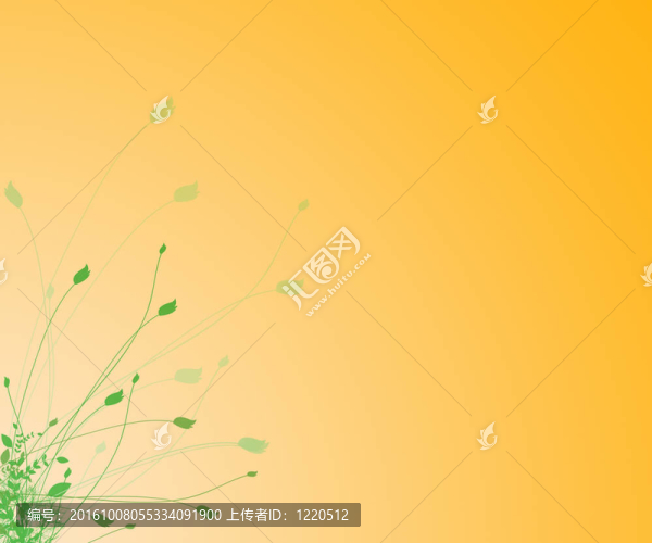 橙色背景上的花
