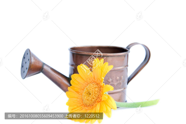 白水花