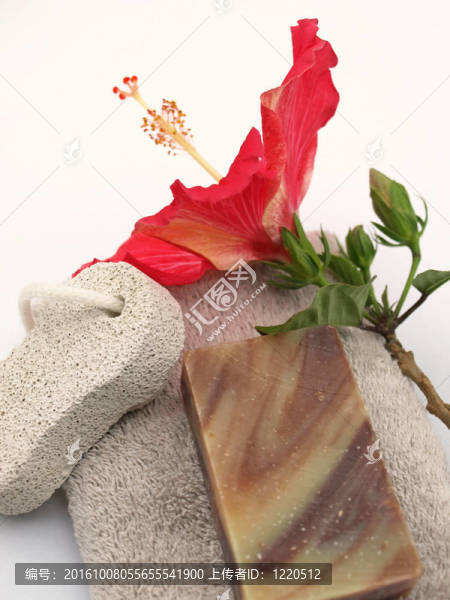 側(cè)身芙蓉