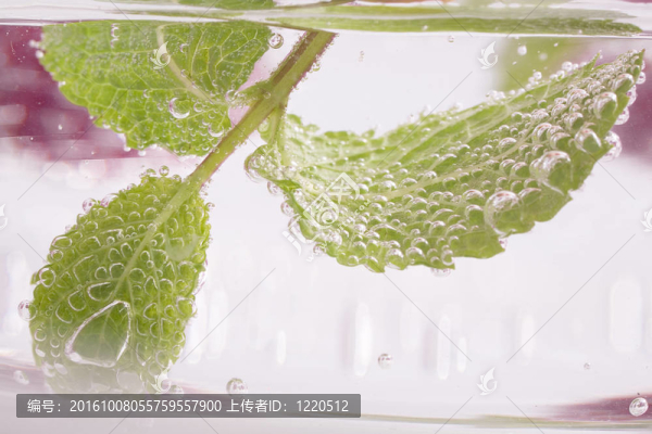 薄荷水