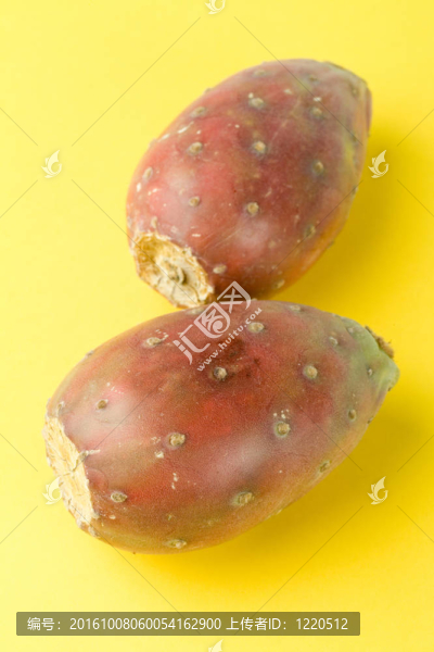仙人掌的果實